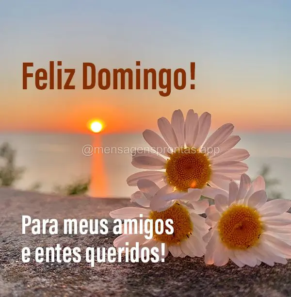 Para meus amigos e entes queridos! Feliz Domingo!