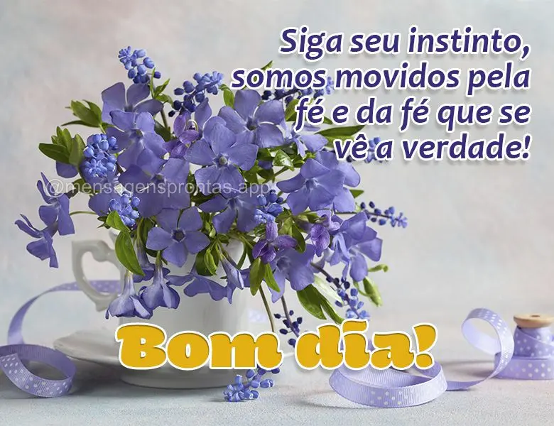 Siga seu instinto, somos movidos pela fé e da fé que se vê a verdade! Bom dia!