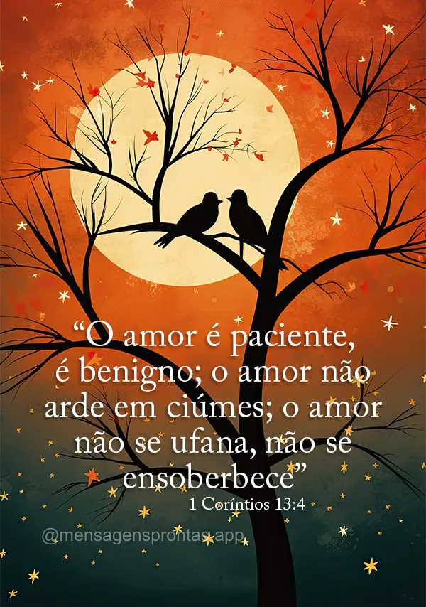 "O amor é paciente, é benigno; o amor não arde em ciúmes; o amor não se ufana, não se ensoberbece."  (1 Coríntios 13:4)