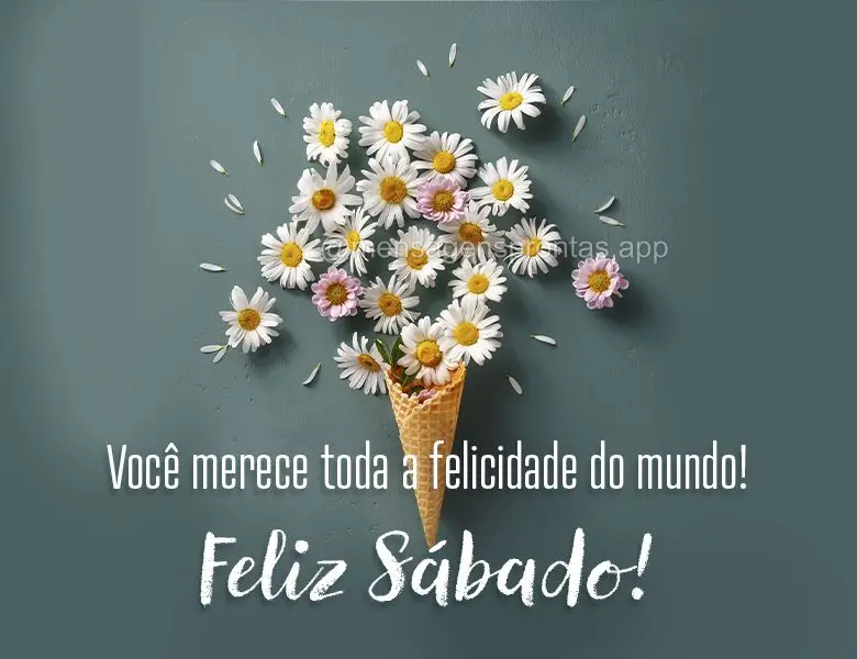 Você merece toda a felicidade do mundo! Feliz Sábado!