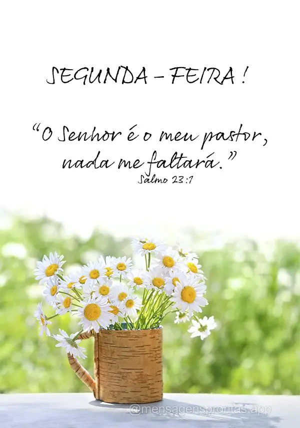 “O Senhor é o meu pastor, nada me faltará.” Segunda-feira! Salmo 23:1