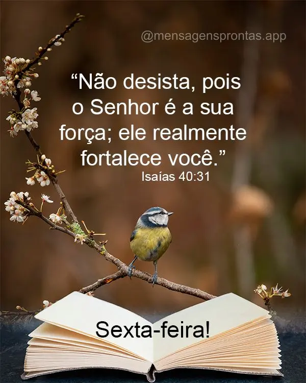 “Não desista, pois o Senhor é a sua força; ele realmente fortalece você.” Sexta-feira! Isaías 40:31