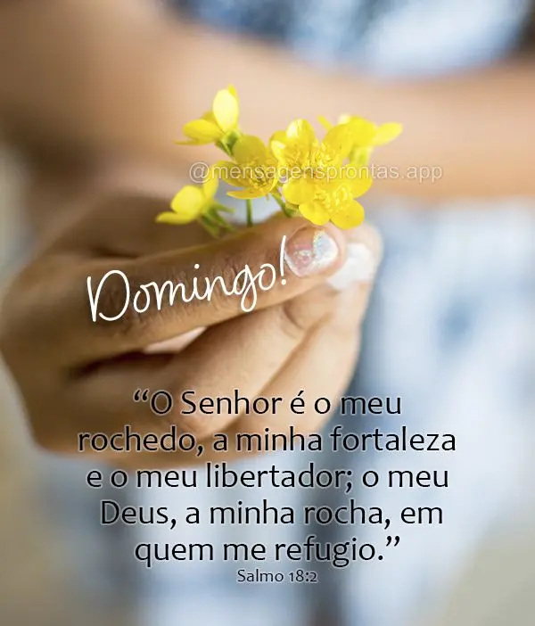 “O Senhor é o meu rochedo, a minha fortaleza e o meu libertador; o meu Deus, a minha rocha, em quem me refugio.”  Domingo! Salmo 18:2