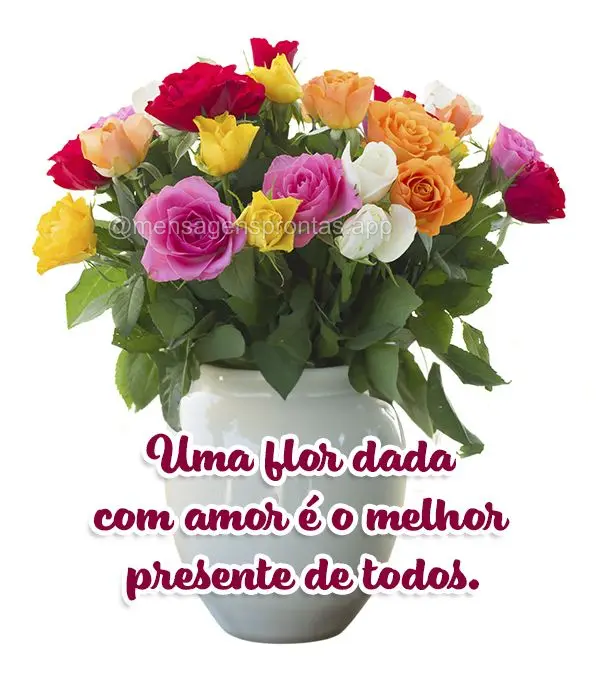 Uma flor dada com amor é o melhor presente de todos.