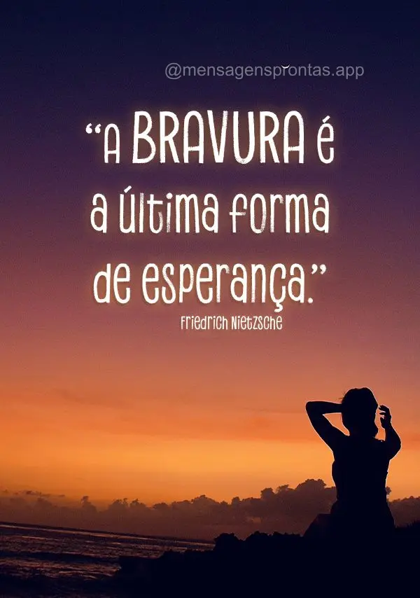 "A bravura é a última forma de esperança."  Friedrich Nietzsche