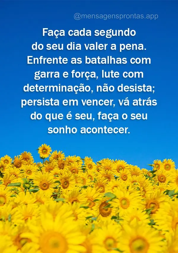 Faça cada segundo do seu dia valer a pena. Enfrente as batalhas com garra e força, lute com determinação, não desista; persista em vencer, vá atrá...