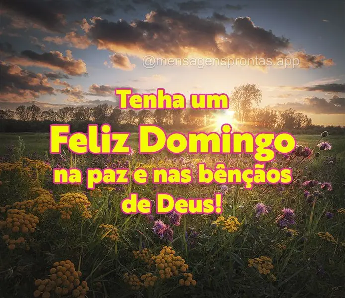 Tenha um Feliz Domingo na paz e nas bênçãos de Deus!