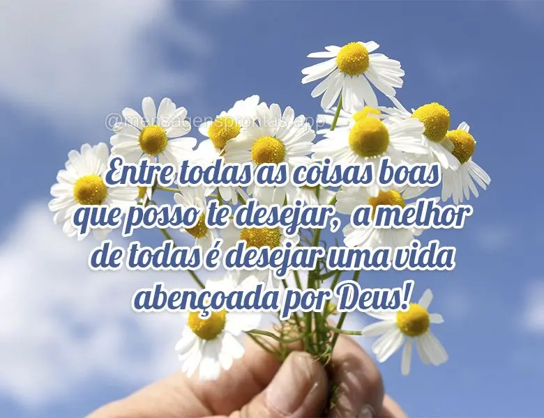 Entre todas as coisas boas que posso te desejar, a melhor de todas é desejar uma vida abençoada por Deus!