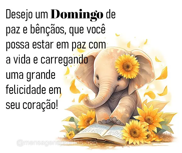 Desejo um Domingo de paz e bênçãos, que você possa estar em paz com a vida e carregando uma grande felicidade em seu coração!