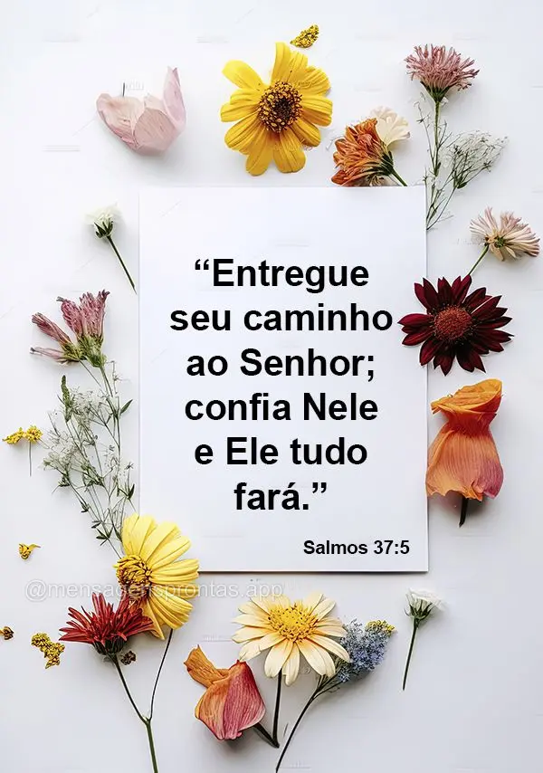 "Entregue seu caminho ao Senhor; confia Nele e Ele tudo fará.”  Salmos 37:5