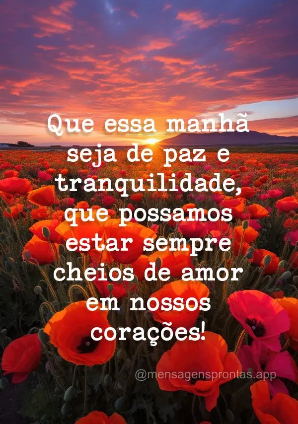 Que essa manhã seja de paz e tranquilidade, que possamos estar sempre cheios de amor em nossos corações!