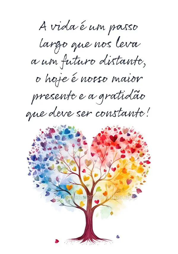 A vida é um passo largo que nos leva a um futuro distante, o hoje é nosso maior presente e a gratidão que deve ser constante!