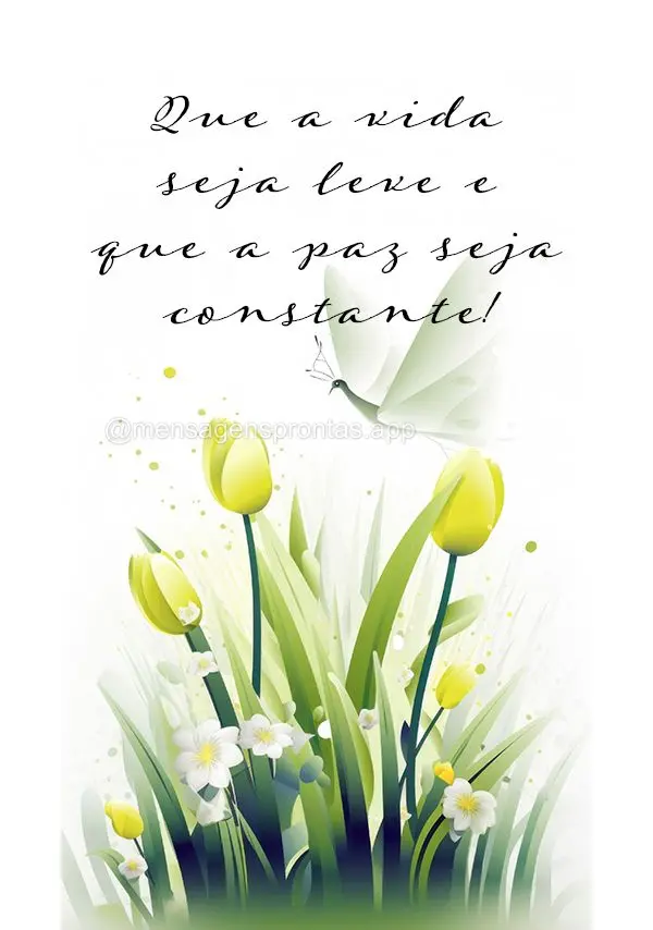 Que a vida seja leve e que a paz seja constante!