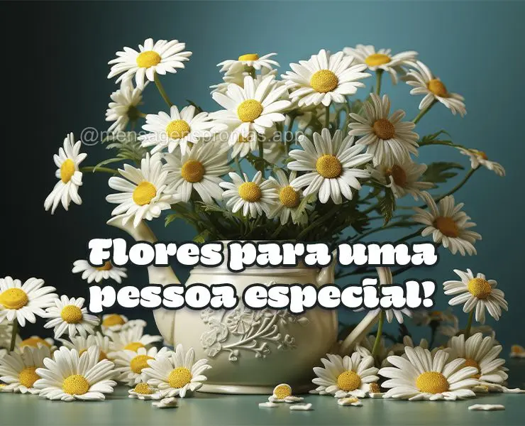 Flores para uma pessoa especial!