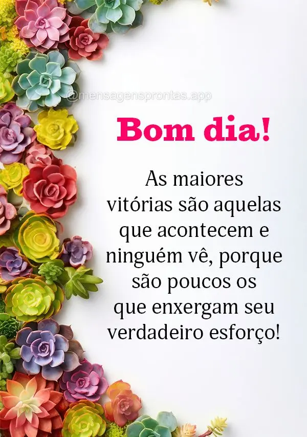 As maiores vitórias são aquelas que acontecem e ninguém vê, porque são poucos os que enxergam seu verdadeiro esforço! Bom dia!