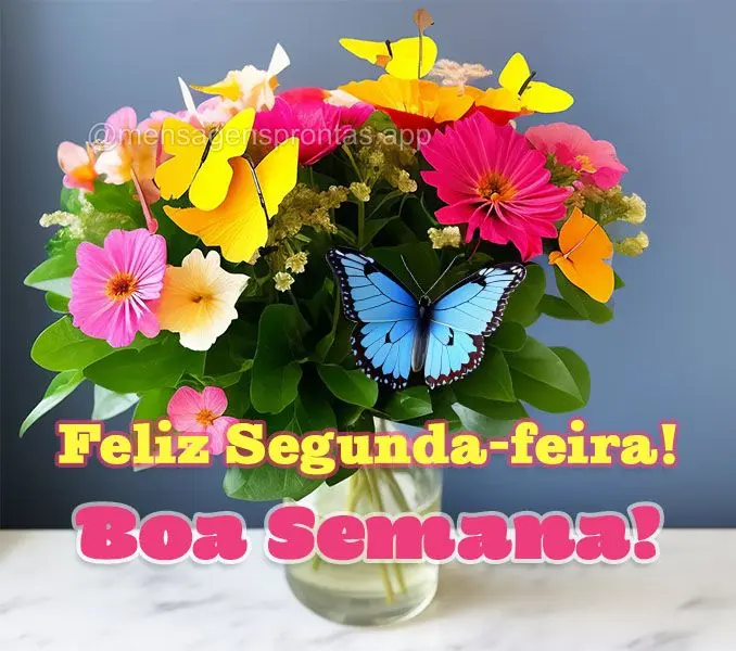 Feliz Segunda-feira! Boa Semana!