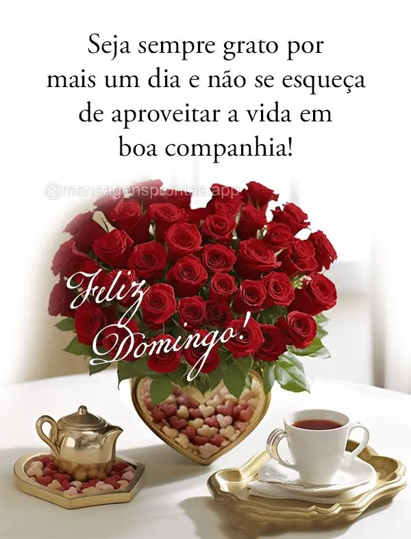 Seja sempre grato por mais um dia e não se esqueça de aproveitar a vida em boa companhia! Feliz Domingo!