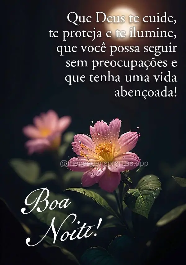 Que Deus te cuide, te proteja e te ilumine, que você possa seguir sem preocupações e que tenha uma vida abençoada!  Boa noite!