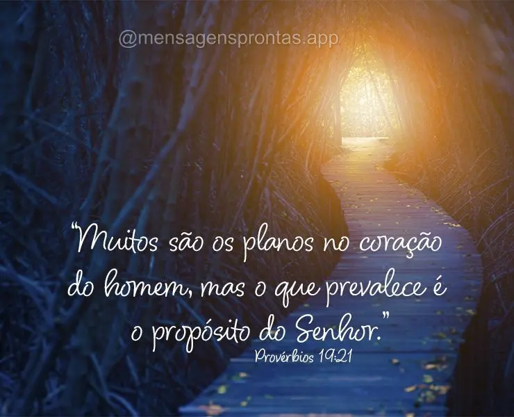 “Muitos são os planos no coração do homem, mas o que prevalece é o propósito do Senhor." Provérbios 19:21