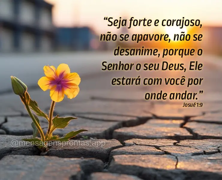 “Seja forte e corajoso, não se apavore, não se desanime, porque o Senhor o seu Deus, Ele estará com você por onde andar.”  Josué 1:9