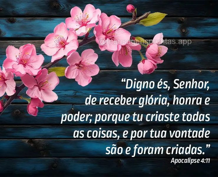 “Digno és, Senhor, de receber glória, honra e poder; porque tu criaste todas as coisas, e por tua vontade são e foram criadas.”  Apocalipse 4:11...