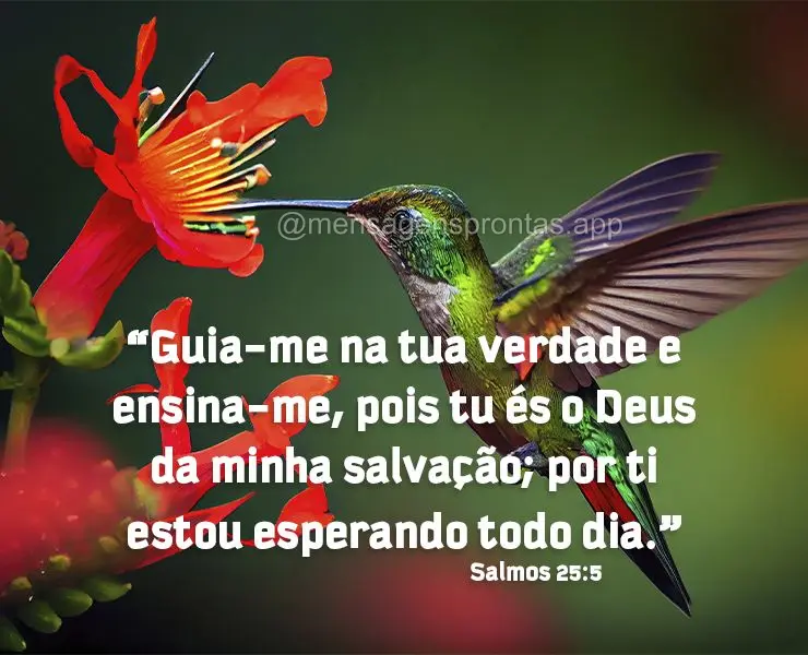 "Guia-me na tua verdade e ensina-me, pois tu és o Deus da minha salvação; por ti estou esperando todo dia." Salmos 25:5