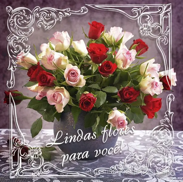 Lindas Flores para você!