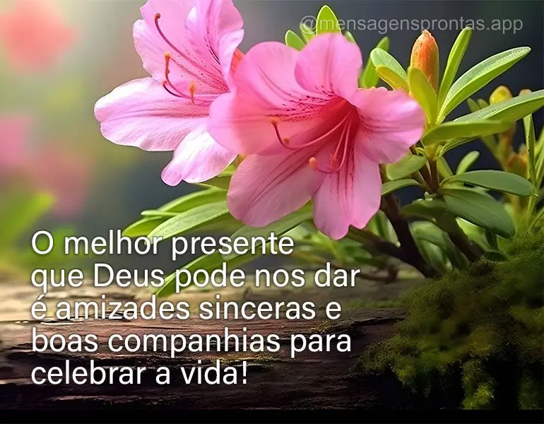 O melhor presente que Deus pode nos dar é amizades sinceras e boas companhias para celebrar a vida!