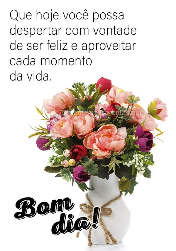 Que hoje você possa despertar com vontade de ser feliz e aproveitar cada momento da vida. Bom dia!