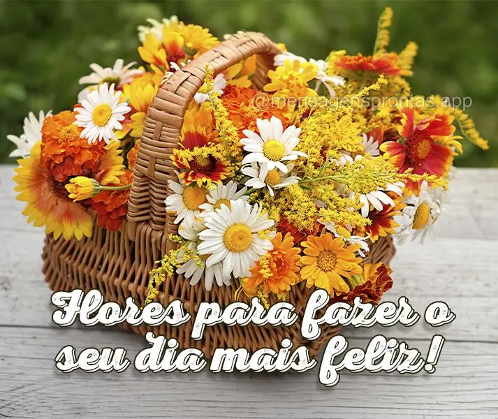 Flores para fazer o seu dia mais feliz!