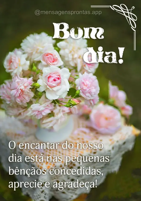 O encantar do nosso dia está nas pequenas bênçãos concedidas, aprecie e agradeça! Bom dia!