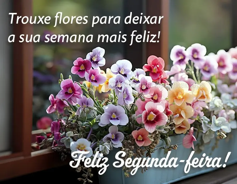 Trouxe flores para deixar a sua semana mais feliz! Feliz Segunda-feira!