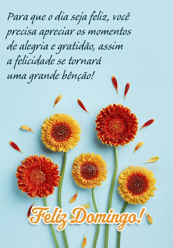 Para que o dia seja feliz, você precisa apreciar os momentos de alegria e gratidão, assim a felicidade se tornará uma grande bênção! Feliz Domingo!...