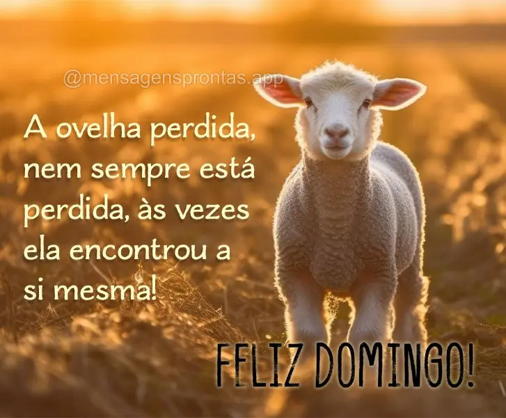 A ovelha perdida, nem sempre está perdida, às vezes ela encontrou a si mesma! Feliz Domingo!