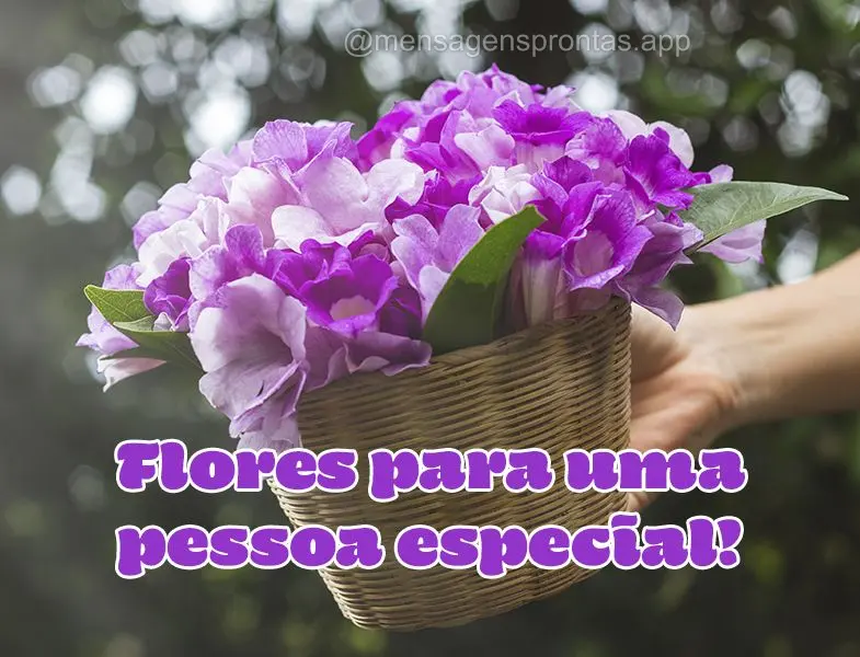 Flores para uma pessoa especial!