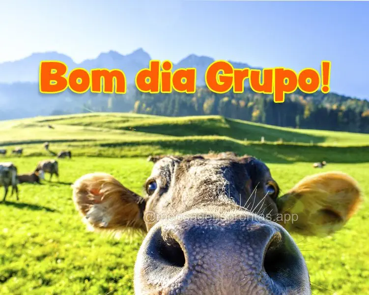 Bom dia Grupo!