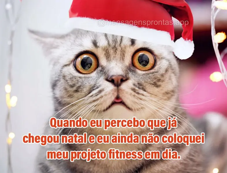 Quando eu percebo que já chegou natal e eu ainda não coloquei meu projeto fitness em dia.