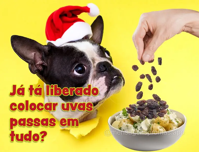 Já tá liberado comer colocar uvas passas em tudo?