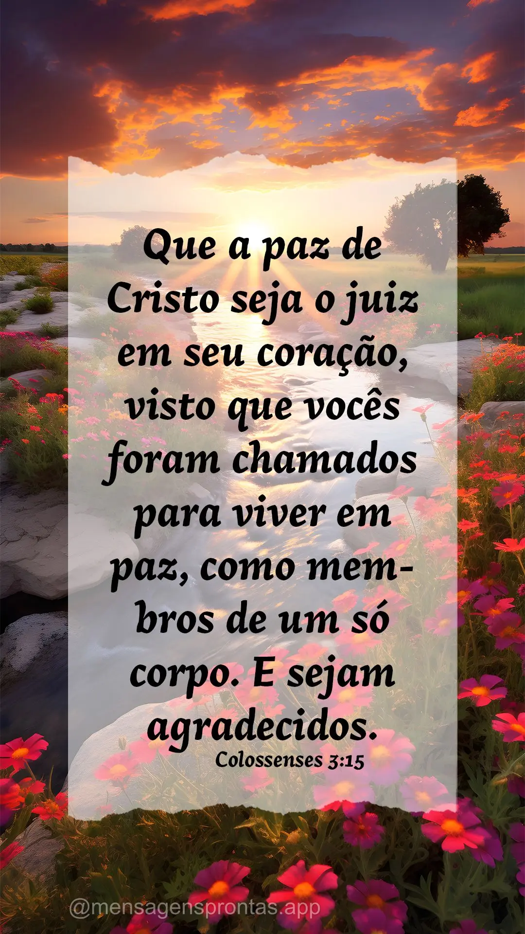 Que a paz de Cristo seja o juiz em seu coração, visto que vocês foram chamados para viver em paz, como membros de um só corpo. E sejam agradecidos. C...