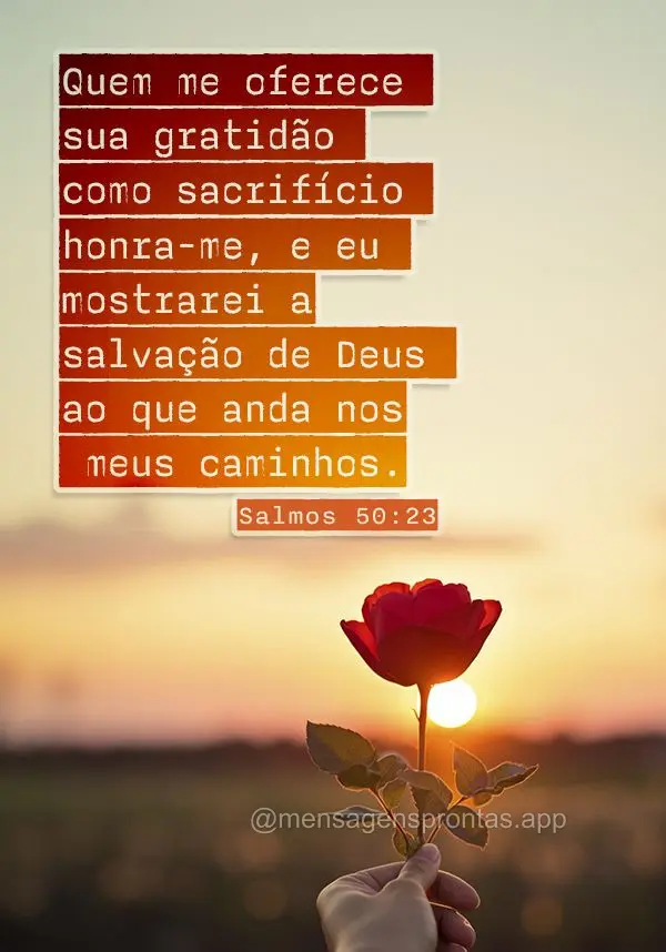 Quem me oferece sua gratidão como sacrifício honra-me, e eu mostrarei a salvação de Deus ao que anda nos meus caminhos. Salmos 50:23