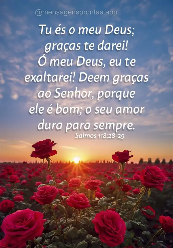 Tu és o meu Deus; graças te darei! Ó meu Deus, eu te exaltarei! Deem graças ao Senhor, porque ele é bom; o seu amor dura para sempre. Salmos 118:28-...