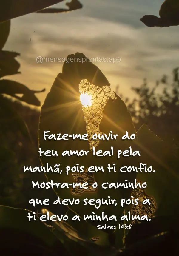 Faze-me ouvir do teu amor leal pela manhã, pois em ti confio. Mostra-me o caminho que devo seguir, pois a ti elevo a minha alma. Salmos 143:8