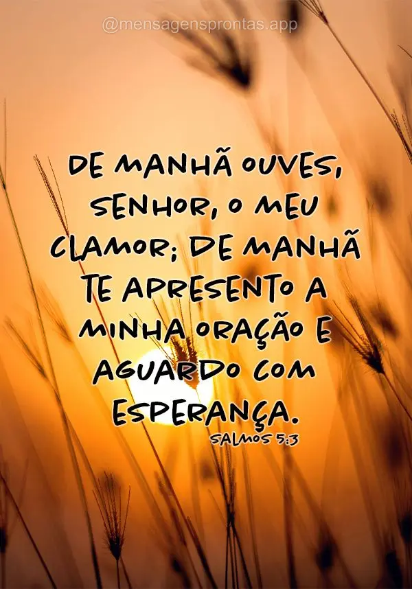 De manhã ouves, Senhor, o meu clamor; de manhã te apresento a minha oração e aguardo com esperança. Salmos 5:3