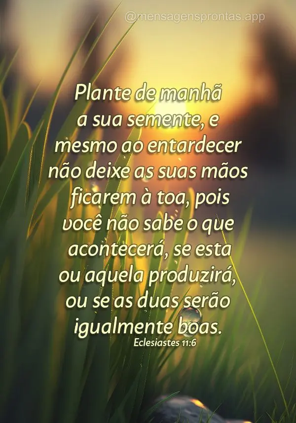 Plante de manhã a sua semente, e mesmo ao entardecer não deixe as suas mãos ficarem à toa, pois você não sabe o que acontecerá, se esta ou aquela ...