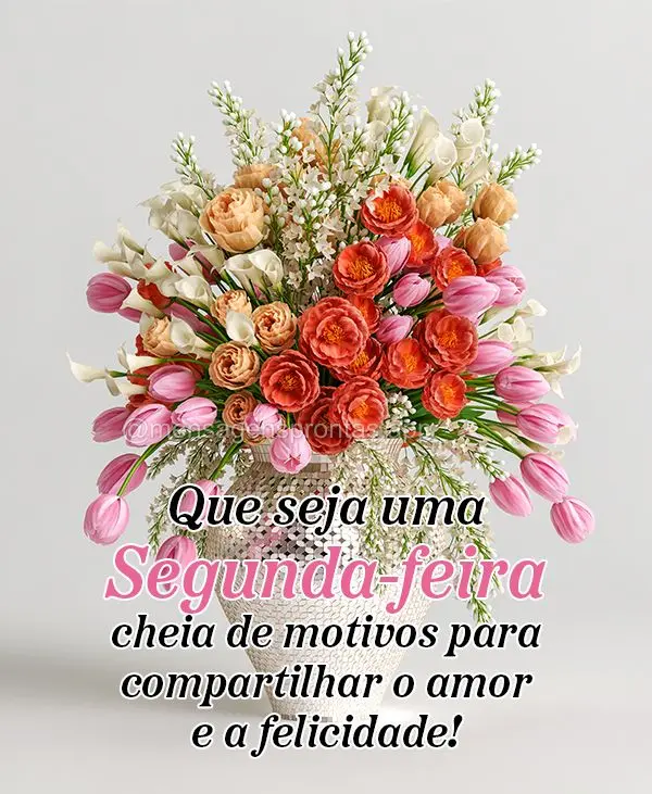 Que seja uma Segunda-feira cheia de motivos para compartilhar o amor e a felicidade!