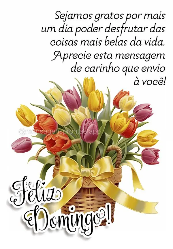 Sejamos gratos por mais um dia poder desfrutar das coisas mais belas da vida. Aprecie esta mensagem de carinho que envio à você! Feliz Domingo!