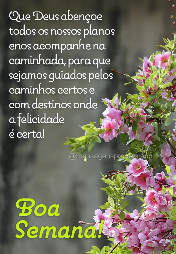 Que Deus abençoe todos os nossos planos e nos acompanhe na caminhada, para que sejamos guiados pelos caminhos certos e com destinos onde a felicidade é...