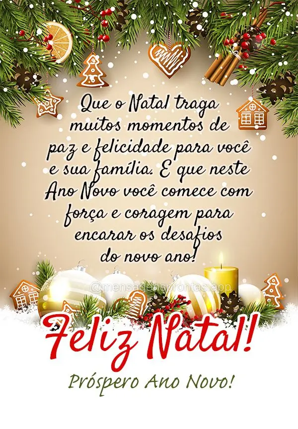 Que o Natal traga muitos momentos de paz e felicidade para você e sua família. E que neste Ano Novo você comece com força e coragem para encarar os d...