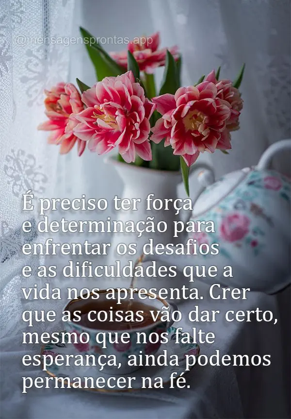 É preciso ter força e determinação para enfrentar os desafios e as dificuldades que a vida nos apresenta. Crer que as coisas vão dar certo, mesmo qu...