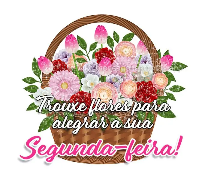 Trouxe flores para alegrar a sua Segunda-feira!